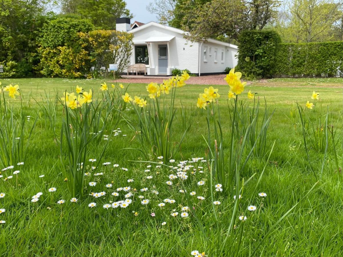 Holiday Park Dennenbos Oostkapelle Exterior photo
