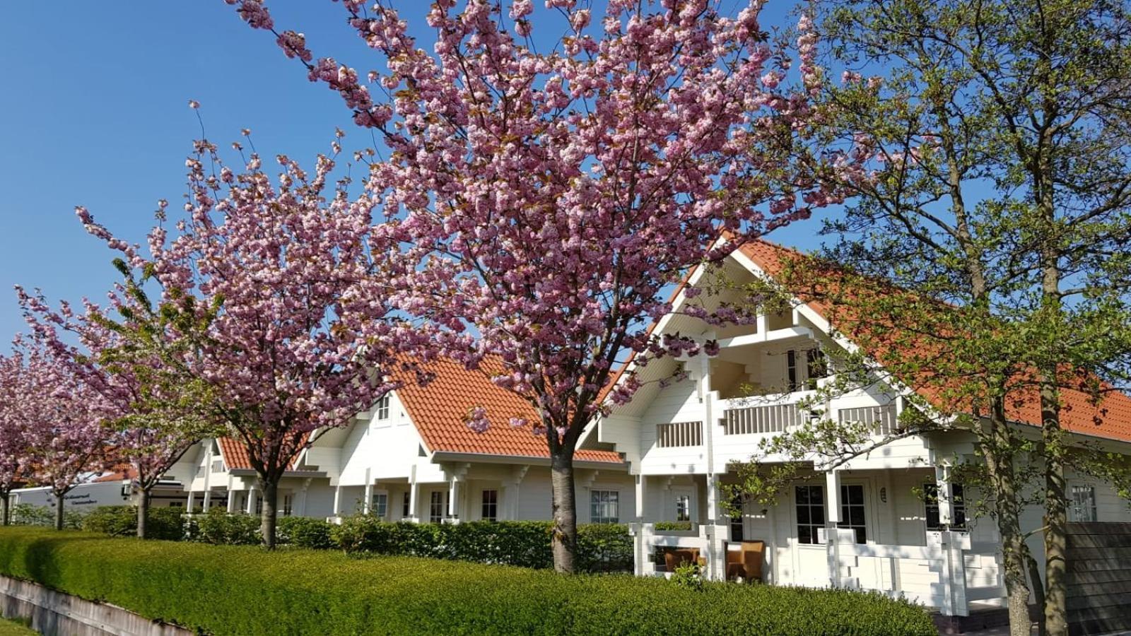 Holiday Park Dennenbos Oostkapelle Exterior photo