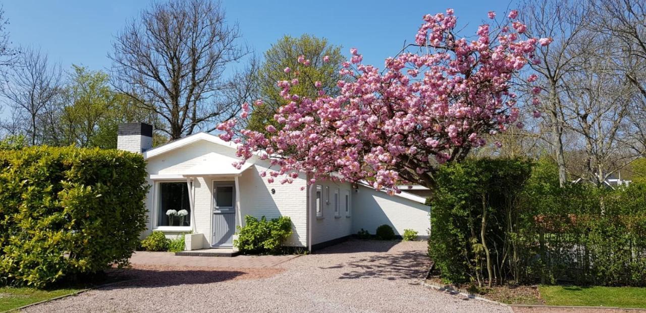Holiday Park Dennenbos Oostkapelle Exterior photo